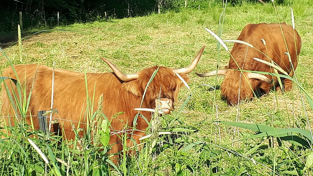 De Kanalkieker - Mitten in Schleswig-Holstein